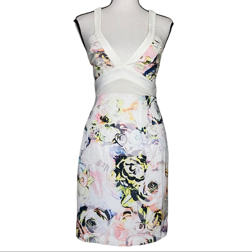Minty Meets Munt Floral Mesh Panel Mini Dress